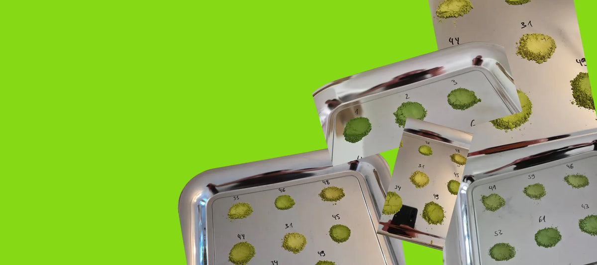 matcha qualität testen auf farbe und duft