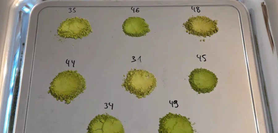 matcha farbe die qualität gewährleistet
