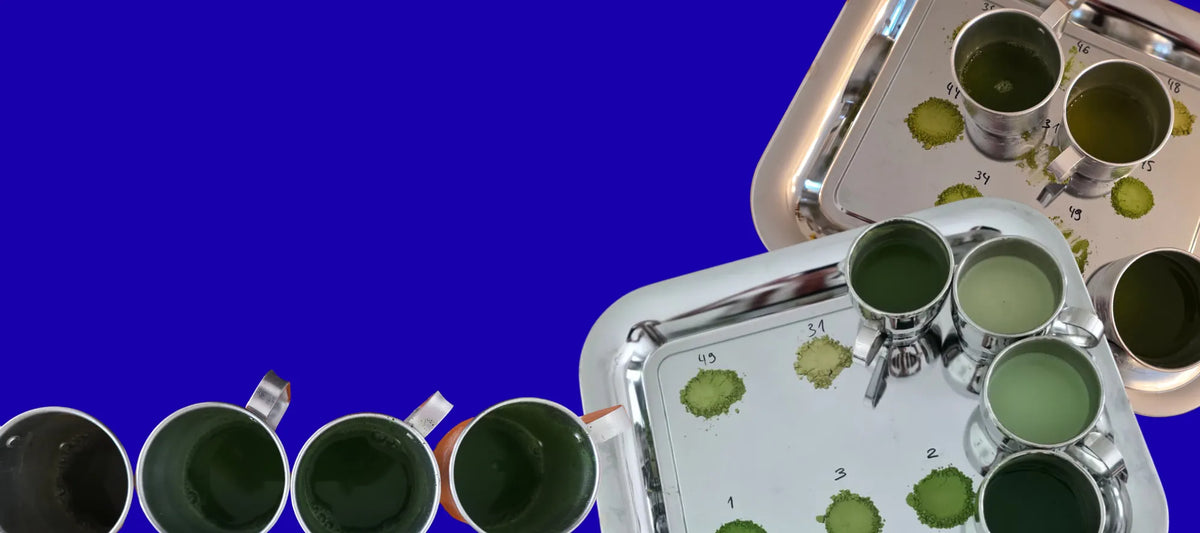 matcha geschmack ist der wichtigste faktor für den genuss