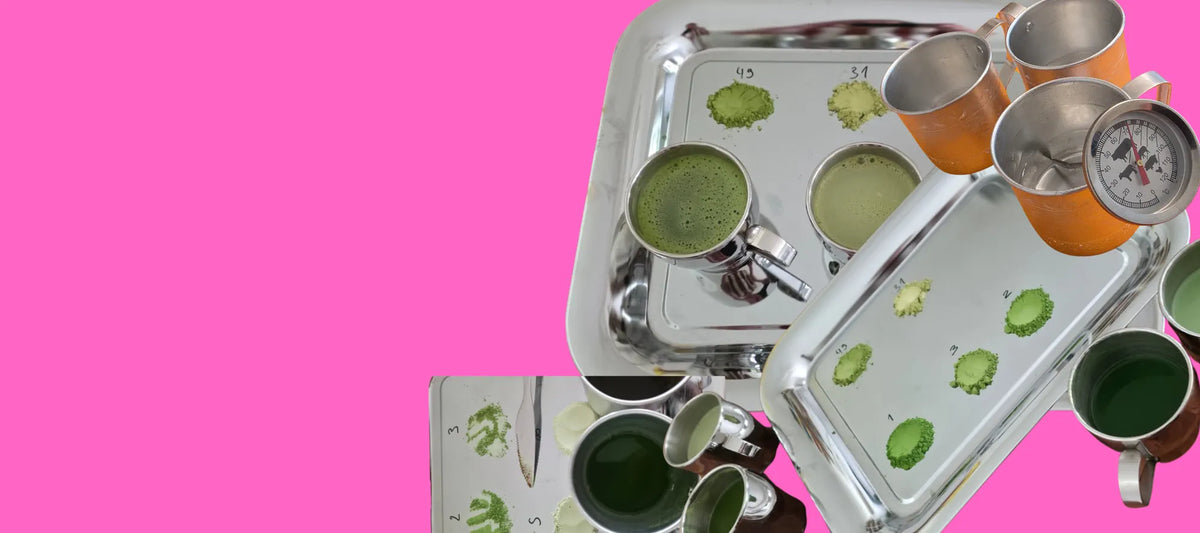 matcha konsistenz und schaum welche guten matcha von gehypten matcha unterscheiden